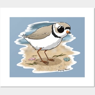 Piping Plover, endangered species Posters and Art